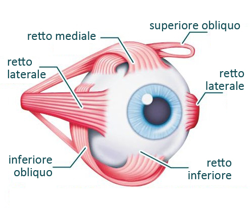 Strabismo